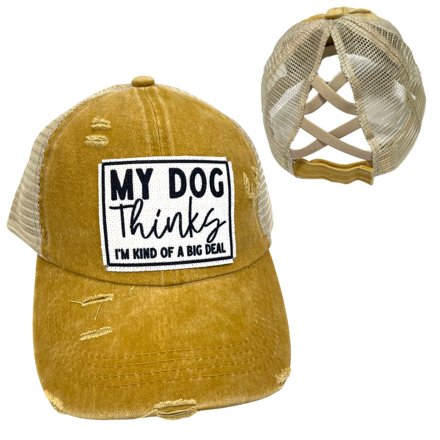 MY DOG THINKS I'M KIND OF A BIG DEAL CRISS-CROSS PONYTAILHAT