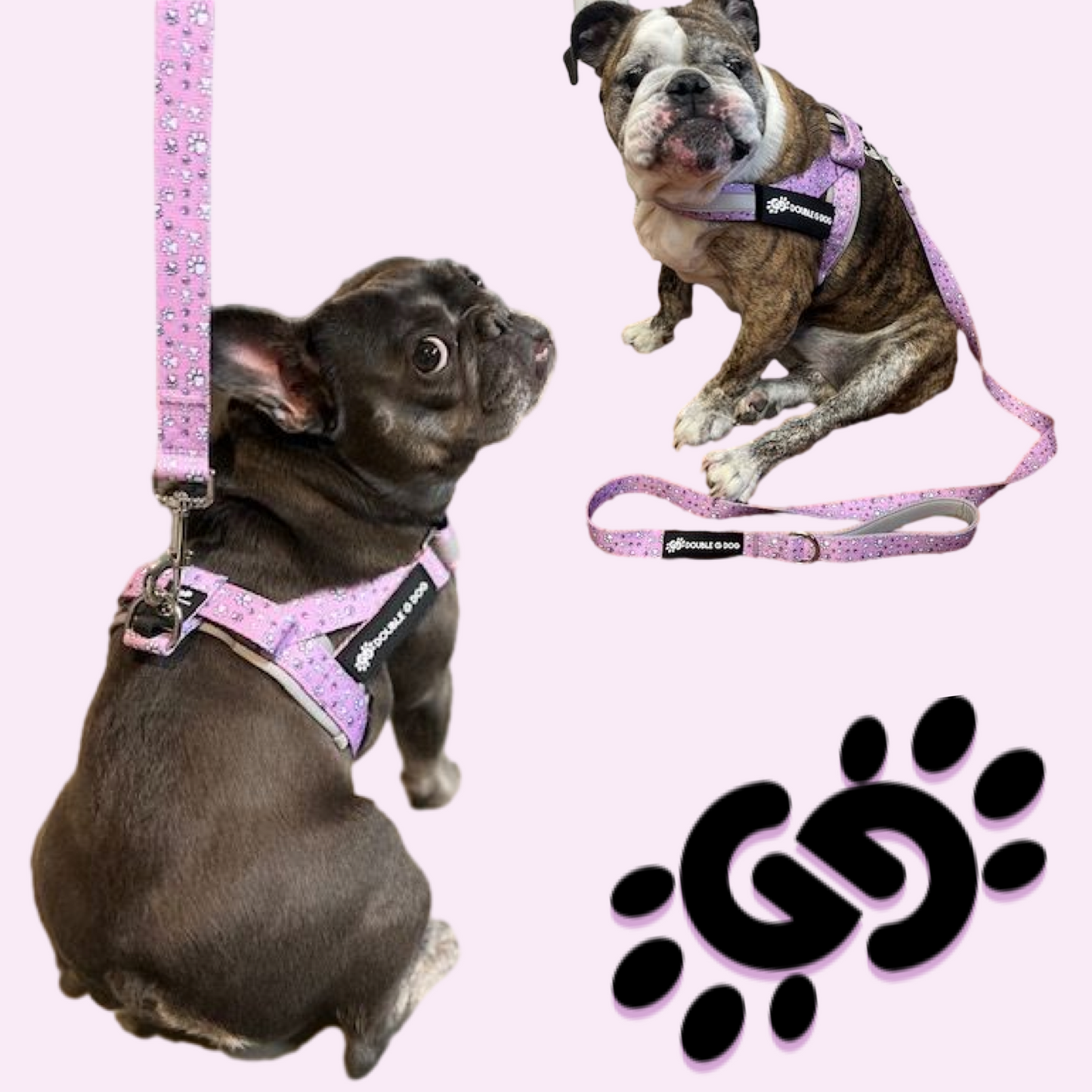 Lilac Paw Love - Double G Dog Gen II Harness - Double G Dog