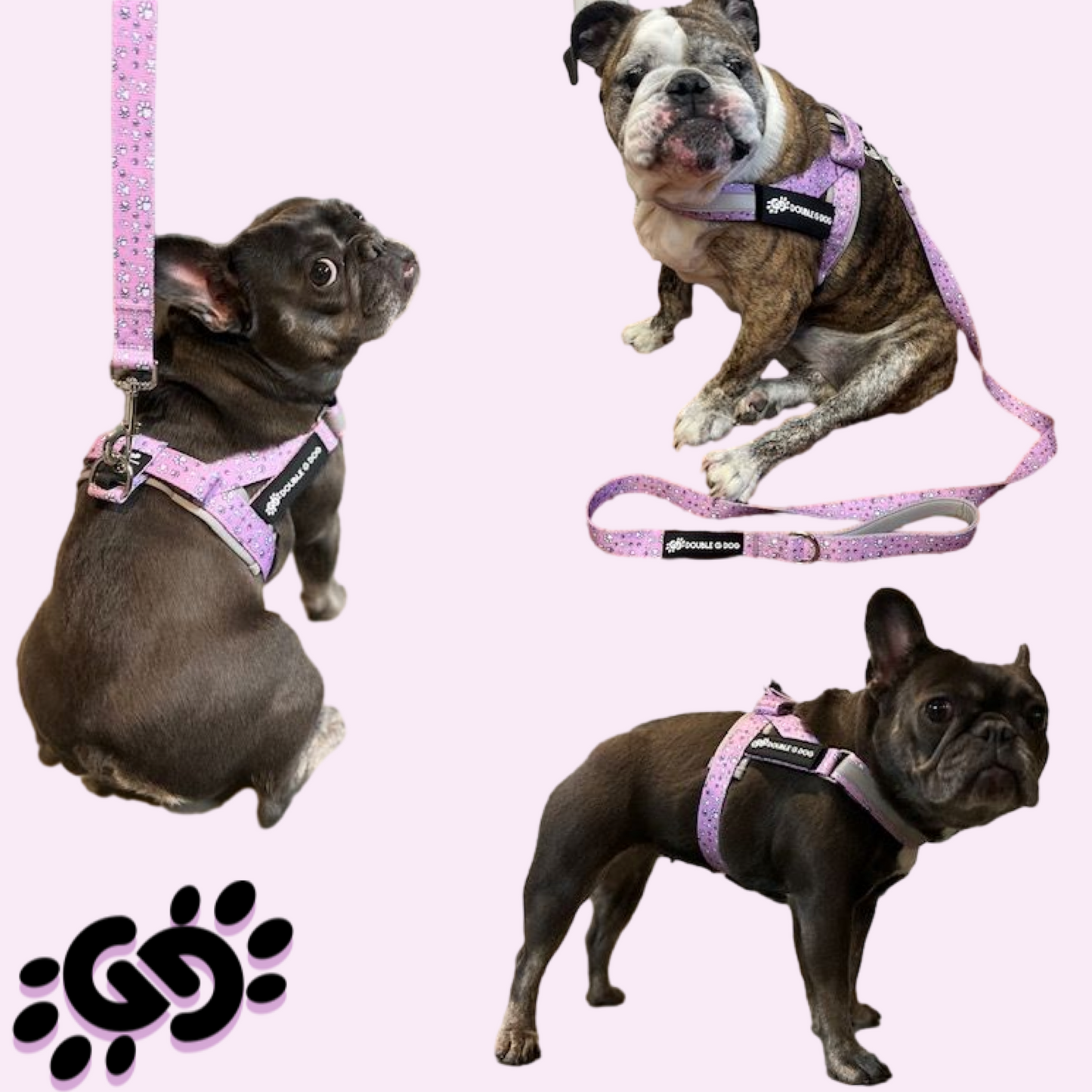 Lilac Paw Love - Double G Dog Gen II Harness - Double G Dog