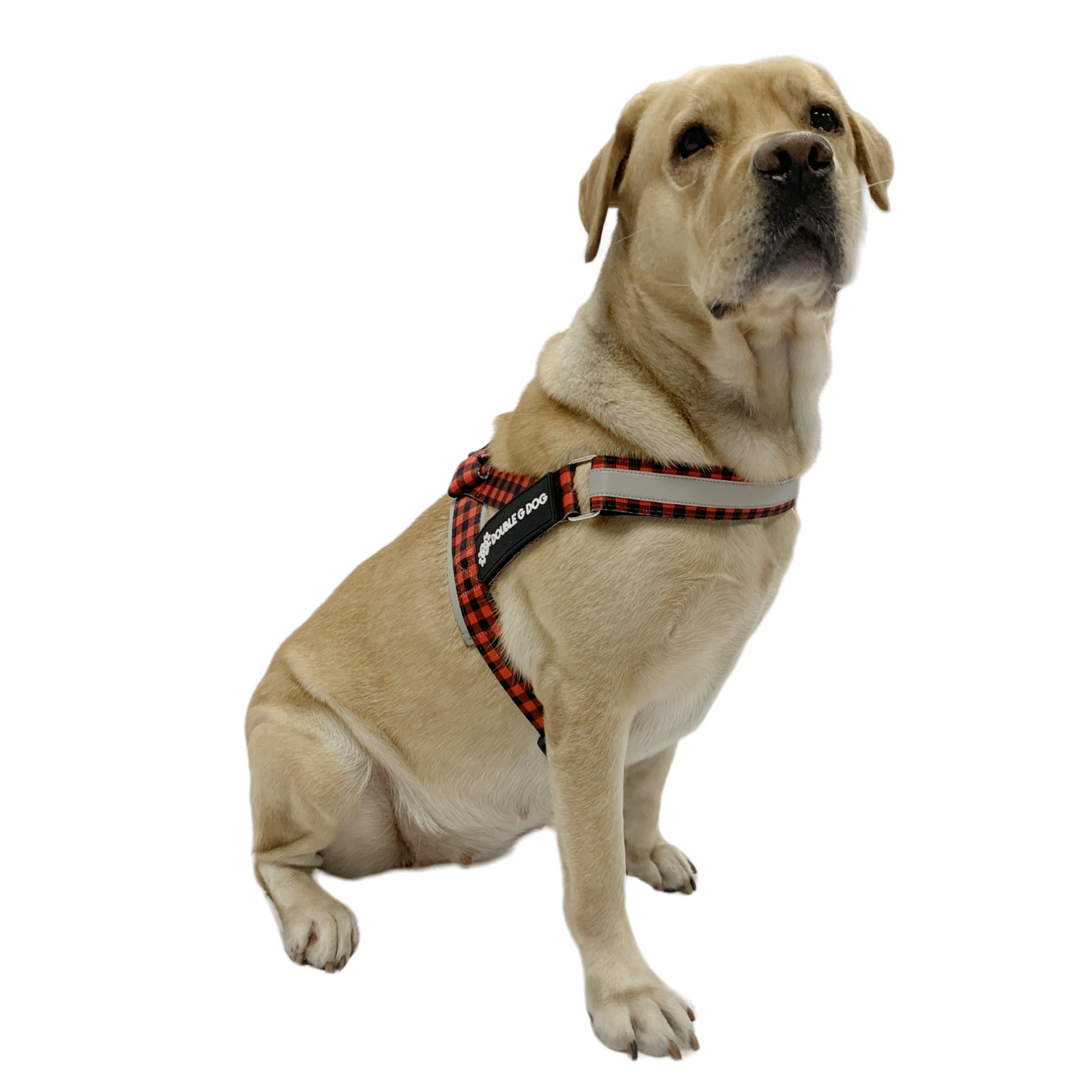 Lumberjack - Double G Dog Gen II Harness - Double G Dog