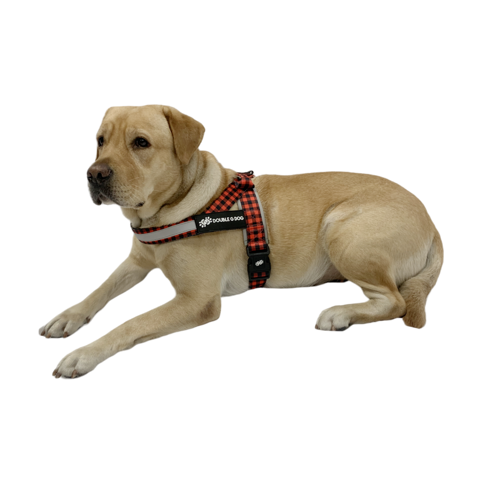 Lumberjack - Double G Dog Gen II Harness - Double G Dog