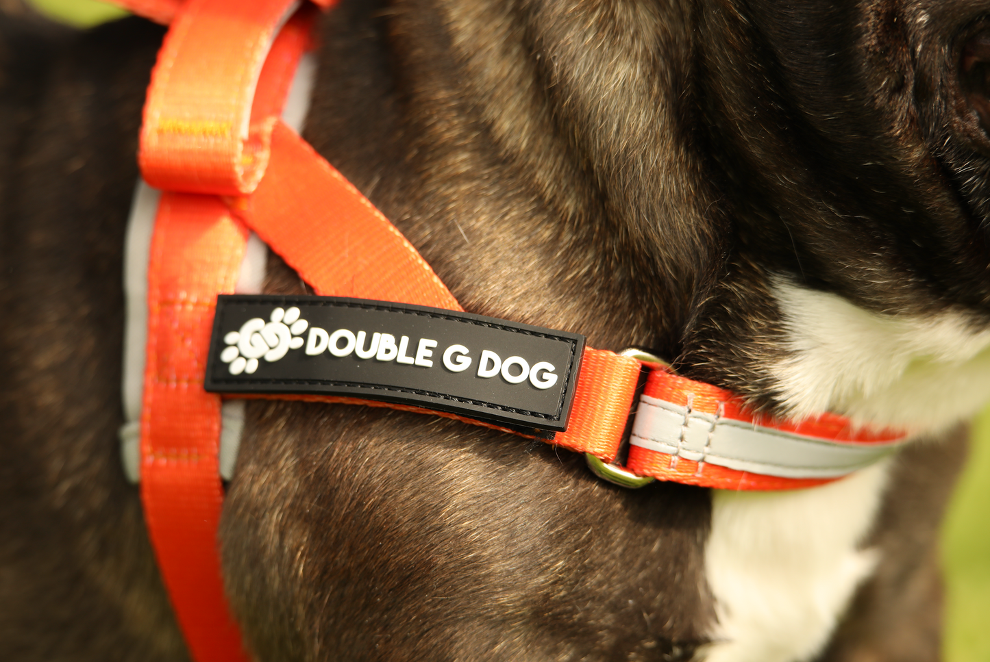 Happy Fall Orange - Double G Dog Gen I Harness - Double G Dog