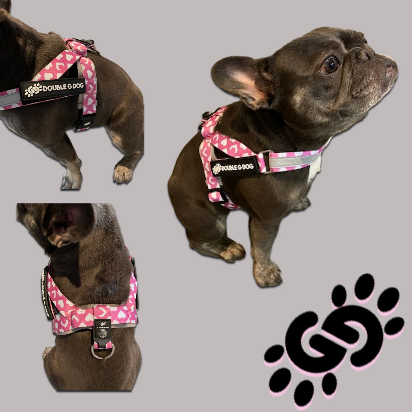 Sweetheart Pink - Double G Dog Gen II Harness - Double G Dog
