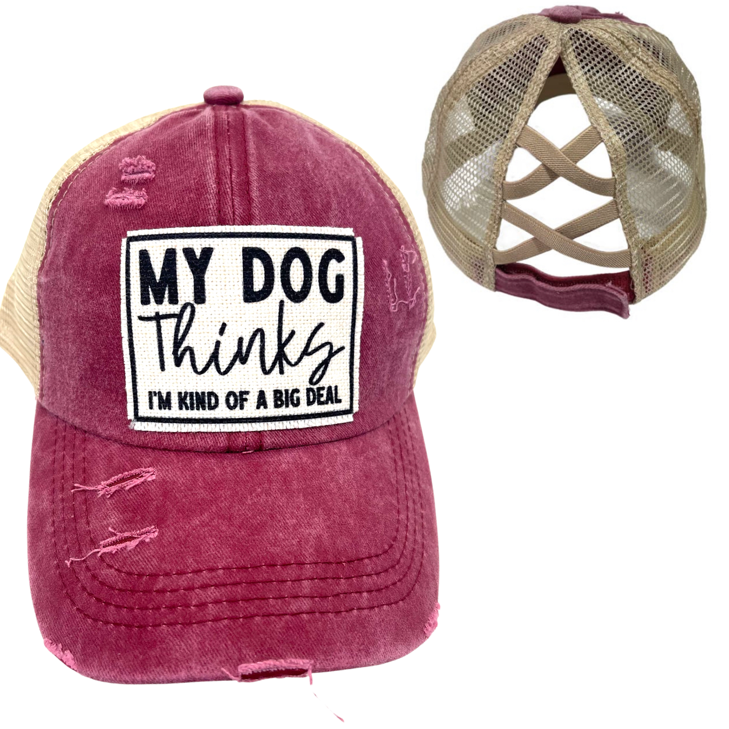 MY DOG THINKS I'M KIND OF A BIG DEAL CRISS-CROSS PONYTAILHAT