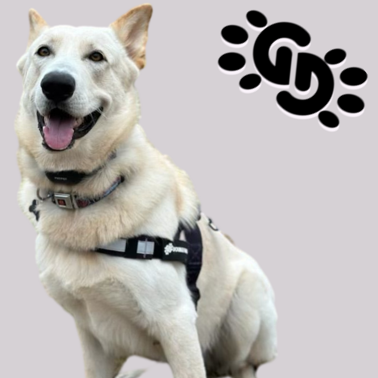 Muted Black - Double G Dog Gen I Harness - Double G Dog