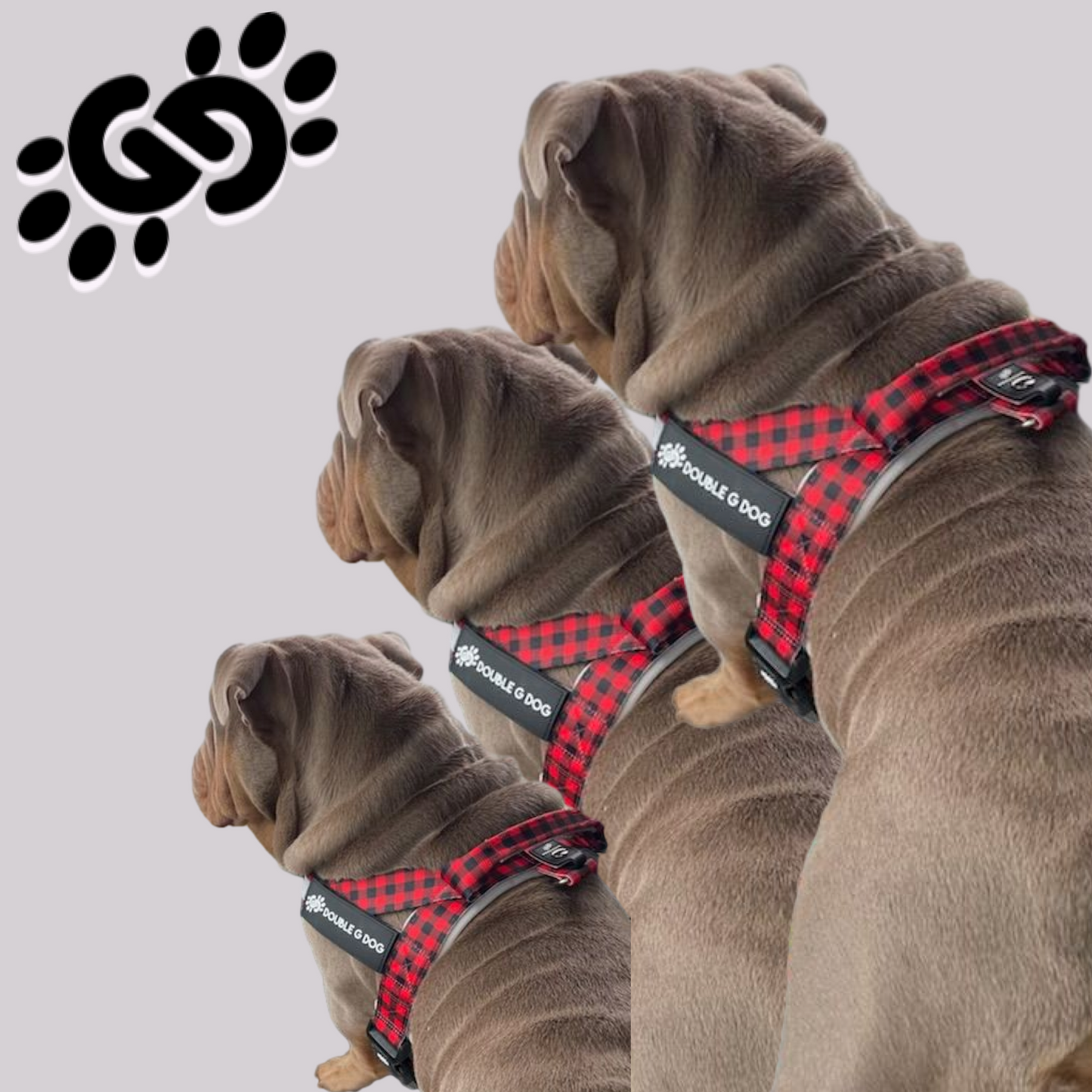 Lumberjack - Double G Dog Gen II Harness - Double G Dog