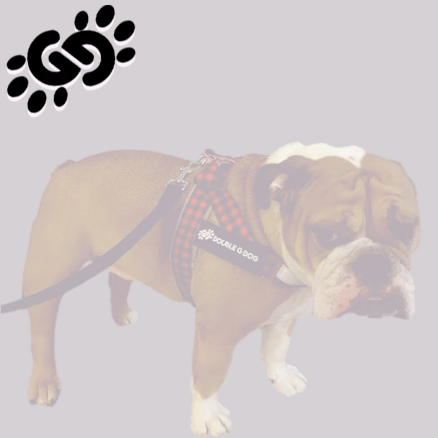 Lumberjack - Double G Dog Gen II Harness - Double G Dog