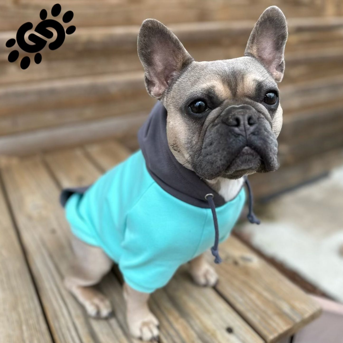 Double G Dog Hoodie - Double G Dog