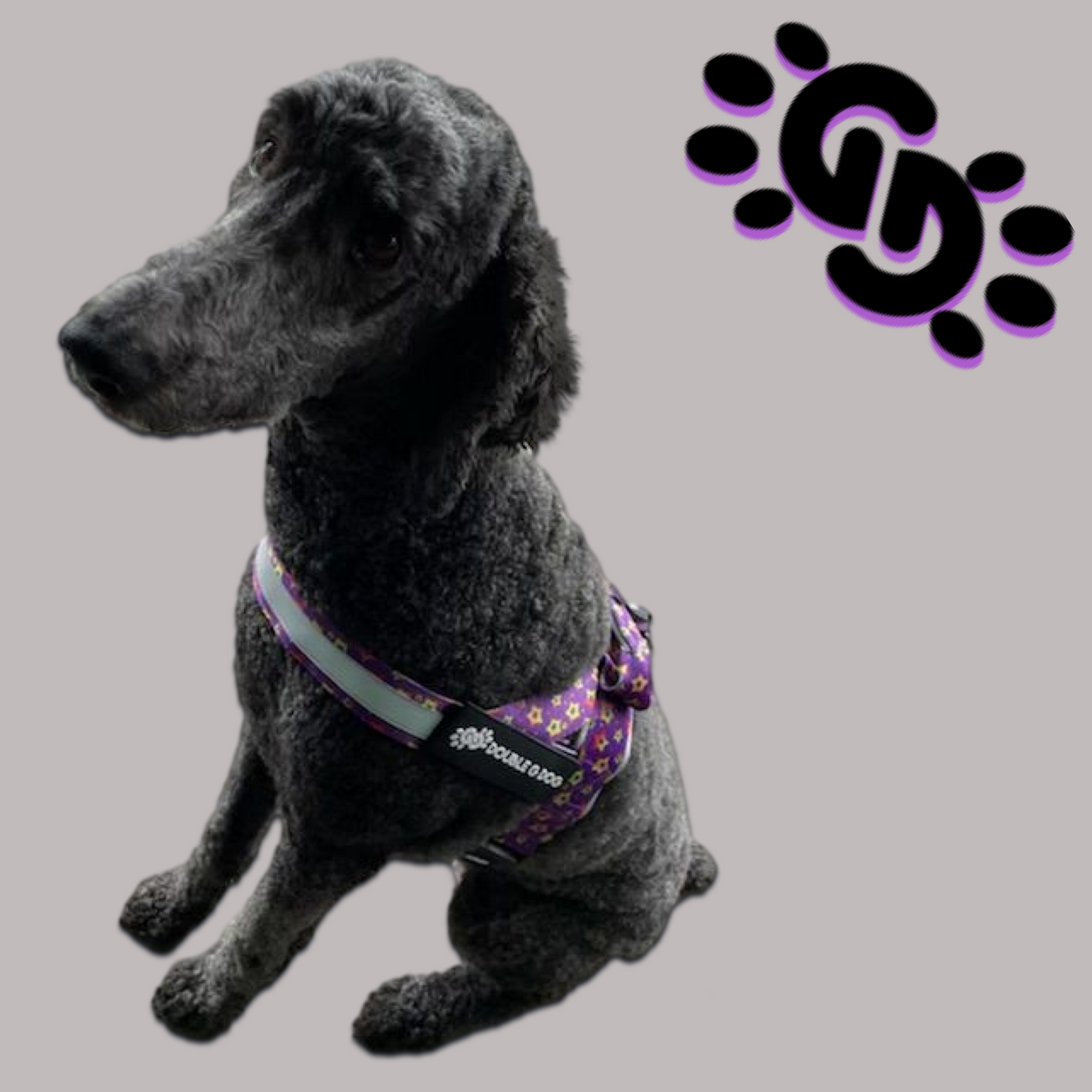 Sassy Stars - Double G Dog Gen II Harness - Double G Dog