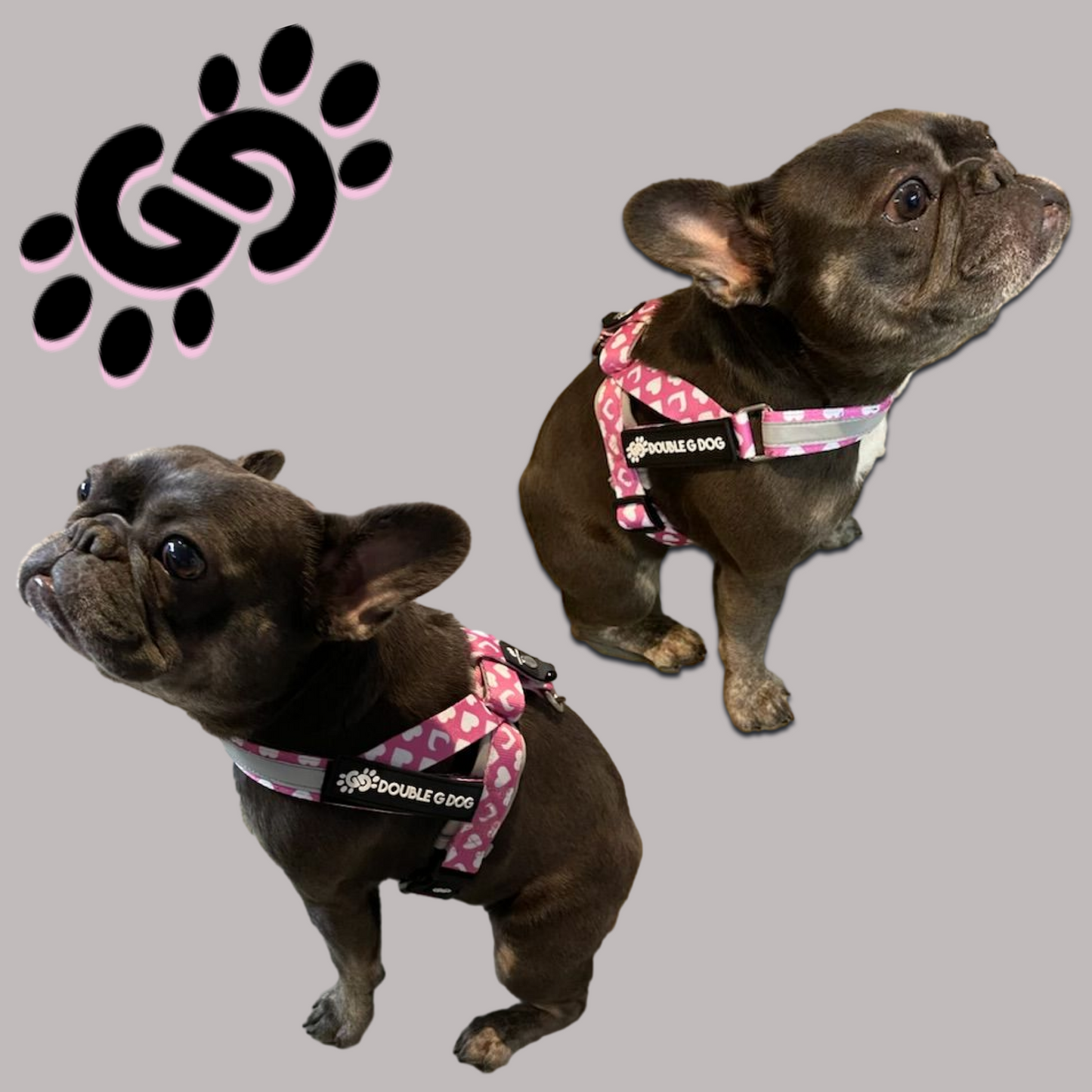 Sweetheart Pink - Double G Dog Gen II Harness - Double G Dog