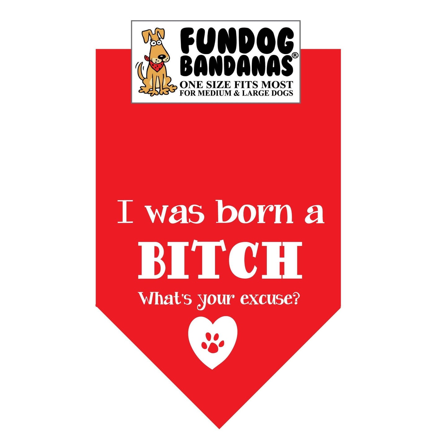 Wholesale 5 Pack - I was Born a Bitch; What's your excuse?